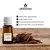 Kit Essência 15 Unidades Umidificador de Ambiente Difusor Diversas Fragrâncias na internet