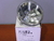 SEALED BEAM LAMP PN-Q4681