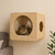 Casinha Suspensa para Gatos MDF Alto Padrão – Nicho de Parede Moderno com Visor Acrílico e Almofada