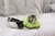 Colar Elisabetano de Frutas - AnimaleBeauty Pet Spa