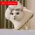Colar Elisabetano de Frutas - AnimaleBeauty Pet Spa