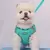 Coleira arnês para cães, anti-tração - AnimaleBeauty Pet Spa