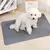 Almofada de xixi para animais de estimação, lavável e reutilizável, almofada - AnimaleBeauty Pet Spa