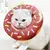 Coleira elizabetano donuts