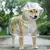 Capa de Chuva Transparente com Capuz - AnimaleBeauty Pet Spa
