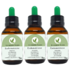 3 Extratos Endometriose 75ml - comprar online