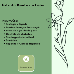 3 Extratos Dente de Leão 75ml na internet