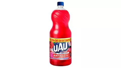 Desinfetante Antibactericida Flor e Frutas Vermelhas 2L