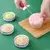 1Pc New Pink Kitchen Mini Home Mashed Potato Garlic Mash Manual Mixer Food Garli