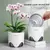 Eco-Friendly Flower Pot – Stylish & Sustainable Planter for Home & Garden - tienda online