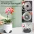 Eco-Friendly Flower Pot – Stylish & Sustainable Planter for Home & Garden on internet