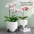 Eco-Friendly Flower Pot – Stylish & Sustainable Planter for Home & Garden - buy online