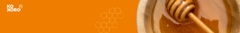 Banner de la categoría Animalia