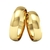 Par Alianças Ouro 18k 5 mm Abalauda Polido - comprar online