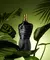 LE MALE LE PARFUM - comprar online
