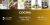 Carrusel VC Global Market