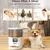 Timed feeder - buy online