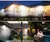 Outdoor Solar Lights - online store