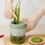 Cortador De Vegetais - loja online