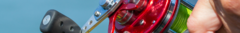 Banner de la categoría CARNADA - TROLLING