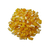 Canjica Amarela quebrada 1 Kg - comprar online