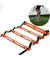 Kit Entrenamiento Escalera Coor + 10 Conos+ 10tortuga *35 - tienda online