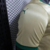 Imagem do Camisa Palmeiras Jogador 24/25