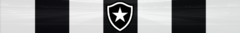 Banner da categoria Botafogo