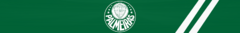 Banner da categoria Palmeiras