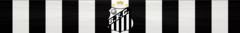 Banner da categoria Santos