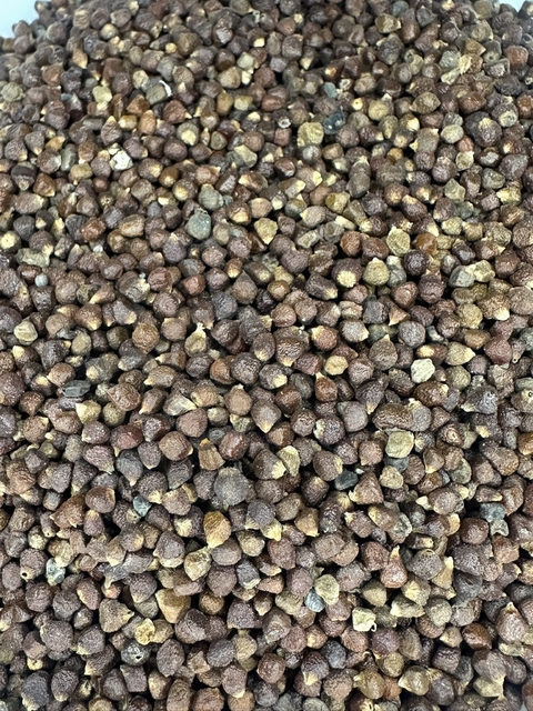 Atare (Pimienta de Guinea) - comprar en línea