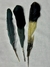 Aluko (Pluma de Ave Aluko) Variedad tonos rojos - (copia) - comprar en línea
