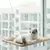 Cama para Gato Janela Suspensa com Ventosas – Conforto, Segurança e Vista Exclusiva! - Mimimei Pet