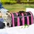 Bolsa Mala Transporte Pet Cachorro ou Gato - comprar online
