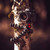 KIT GorillaPod 5K