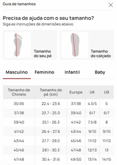 Havaianas Color Essential Fc