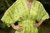 ROMA DRESS en internet