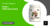 Imagem do banner rotativo 4