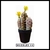 Cactus con flor - Planta artificial