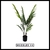 Palmera Areca 1,10m - comprar online