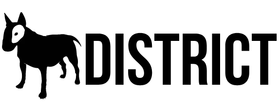 Districtmayorista
