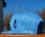 Visera plana Adidas Nigo - comprar online