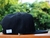 Visera plana Nike Butteler en internet