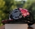 Visera plana Trucker Santa Cruz