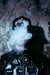 Swag - Eighty Eight
