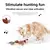 Desperte a Aventura e a Diversão no Seu Pet com o Brinquedo Interativo Pássaro Voador - comprar online