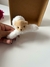 Piranha felpuda Urso - comprar online
