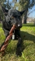 SNACK PARA PERRO NATURAL DE CARNE LIMPIADIENTES GROWIS - comprar online