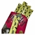 ZOOTEC MOISTY CREAM 5 UNIDADES SABOR PESCADO - LuckyLuke