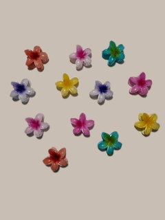 Broche Flores Hawaianas - tienda online